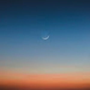 Meet your Posher, Basheer